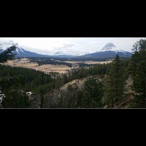 Meet your Posher, Rommy